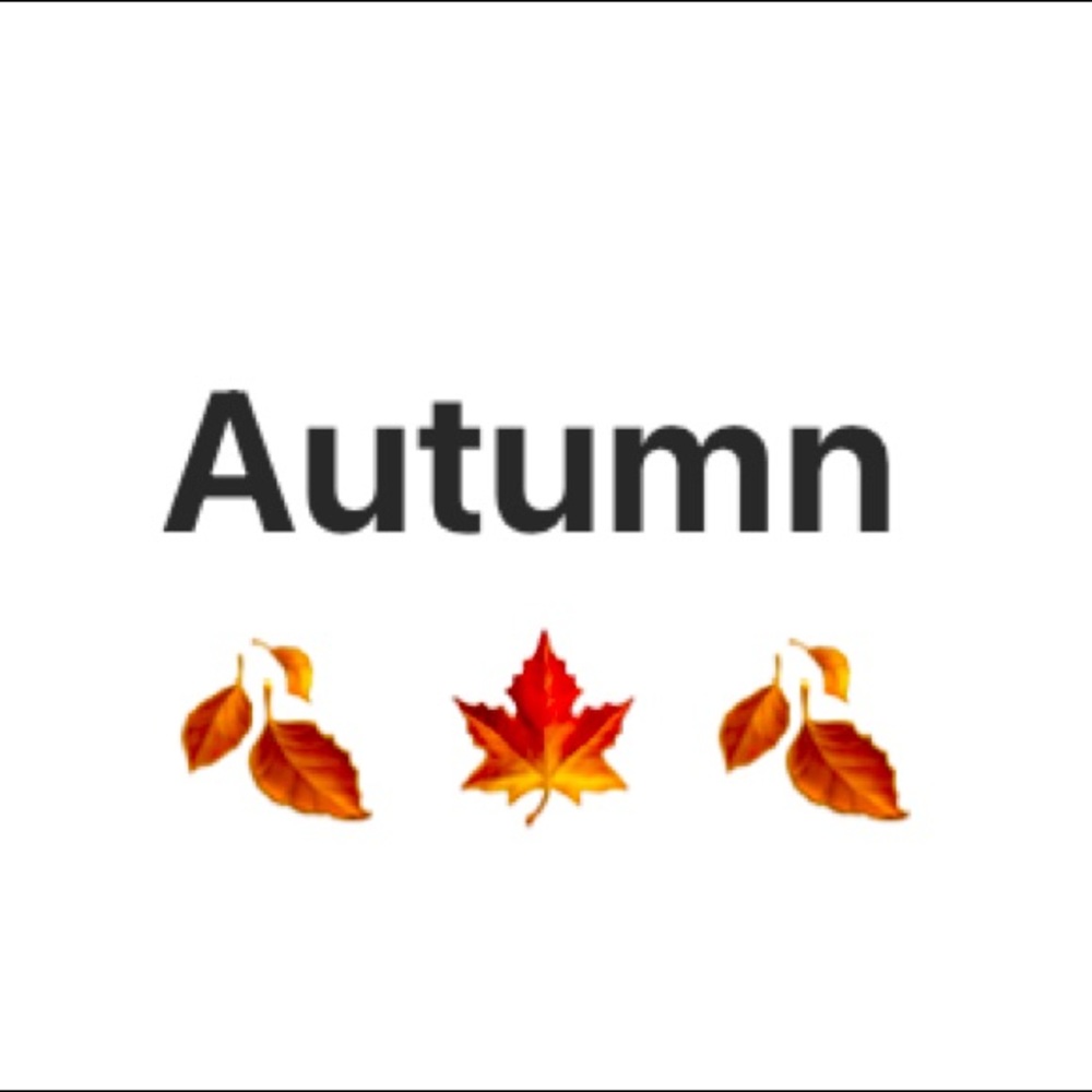 Items for Fall! 🍁